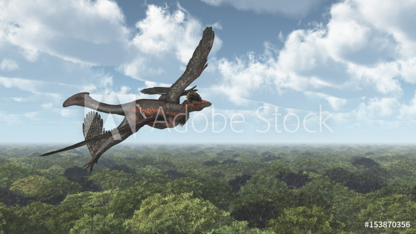 Afbeeldingen van Dinosaurier Microraptor